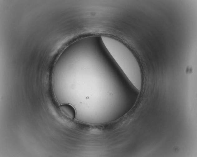 X0000113200592200909100924