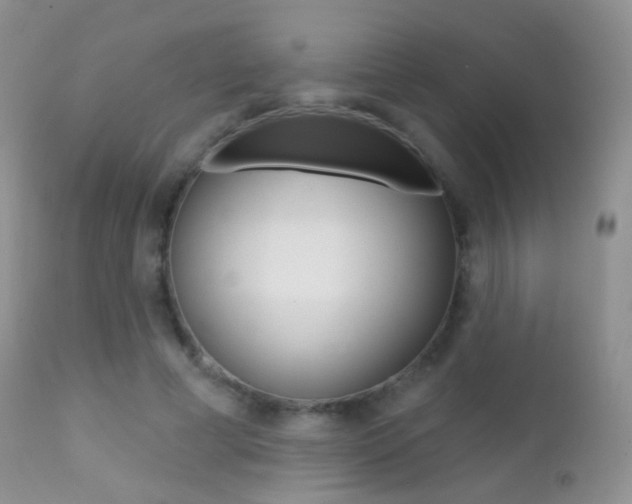 X0000113200593200909100924