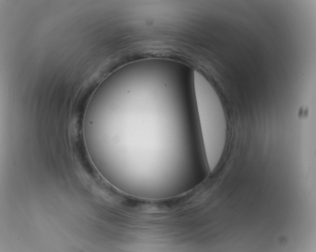 X0000113200597200909100924