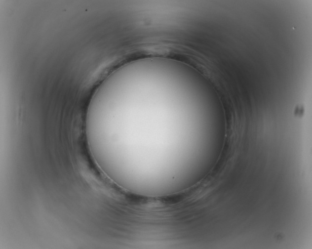 X0000113200600200909100924