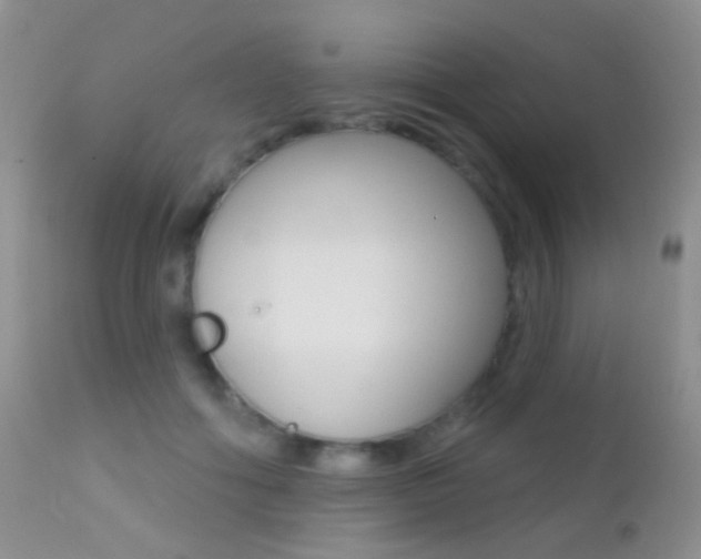 X0000113200602200909100924