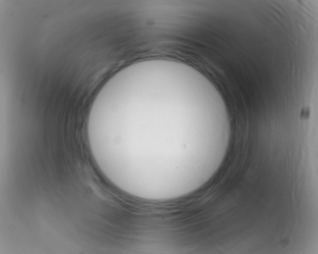 X0000113200603200909100924