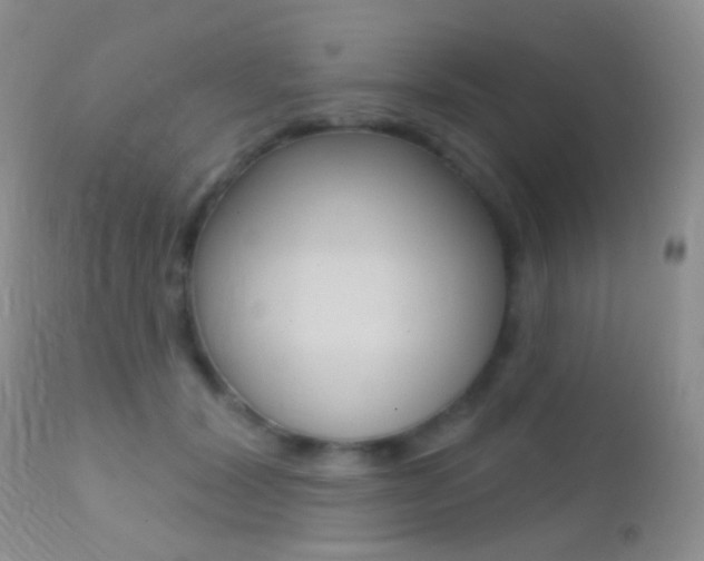 X0000113200604200909100924