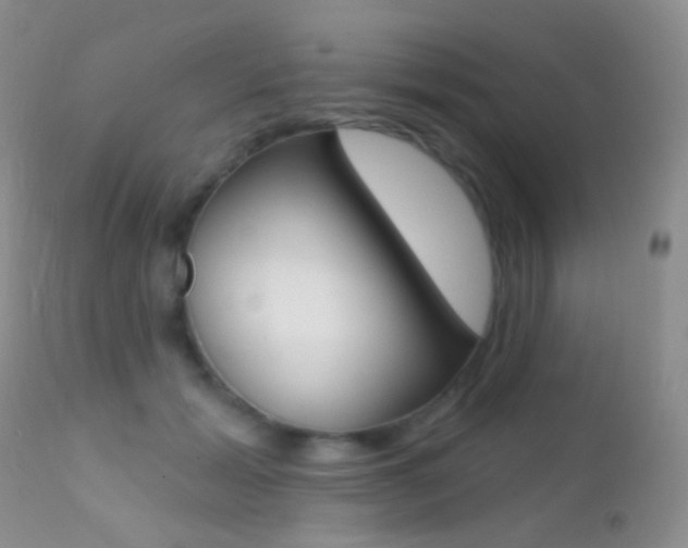 X0000113200605200909100924