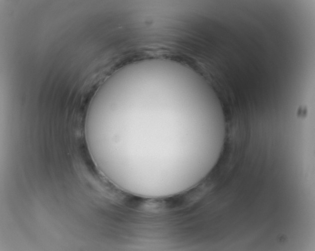 X0000113200606200909100924