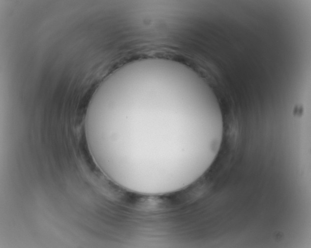 X0000113200607200909100924