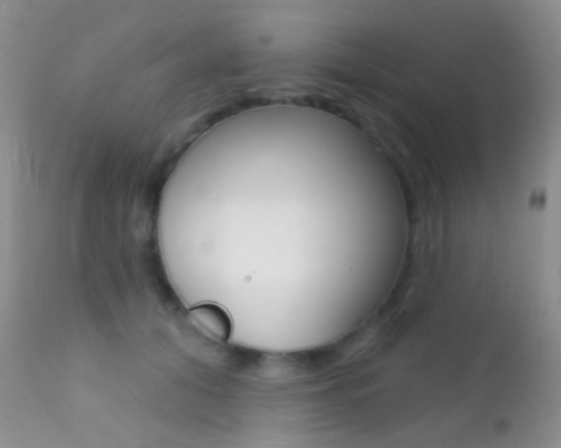 X0000113200608200909100924