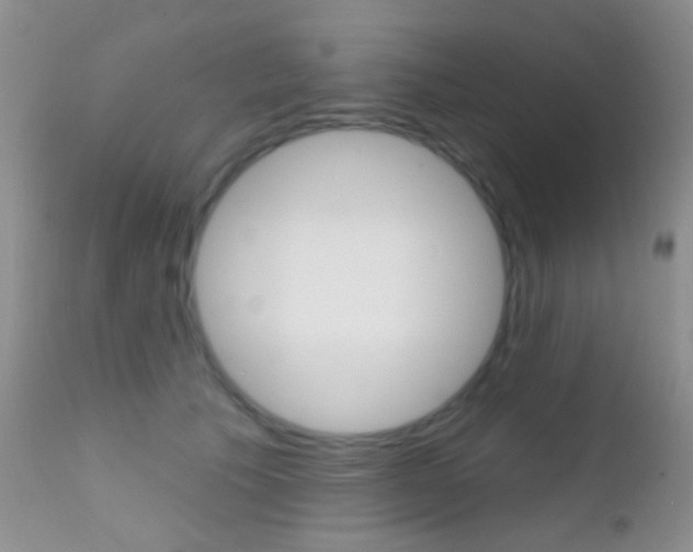 X0000113200609200909100924