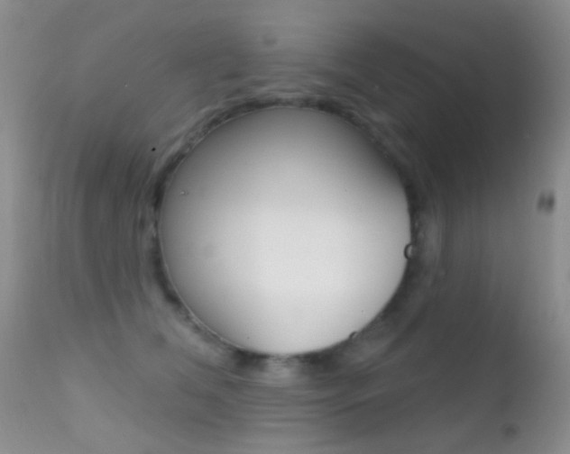 X0000113200612200909100924