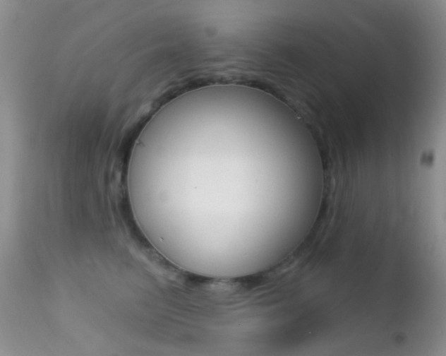 X0000113200615200909100924