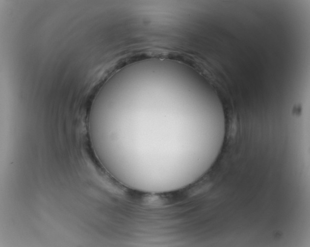 X0000113200616200909100924