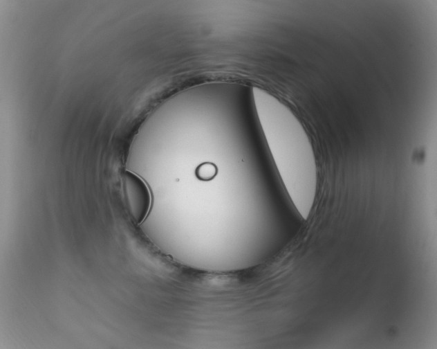 X0000113200619200909100924