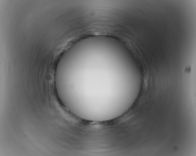 X0000113200620200909100924