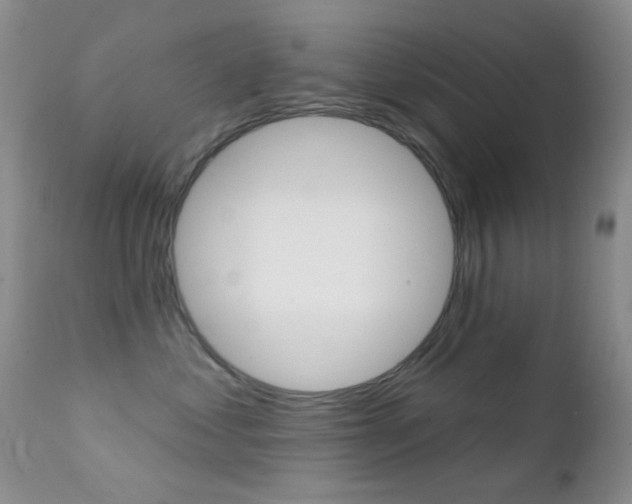 X0000113200621200909100924