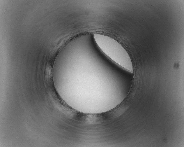 X0000113200623200909100923