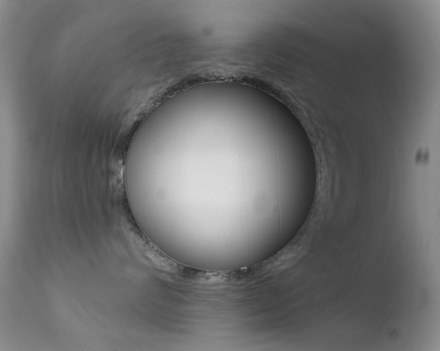 X0000113200624200909100923