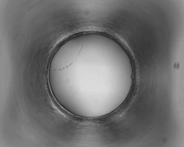 X0000113200625200909100923