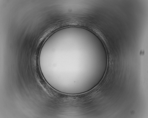 X0000113200626200909100923