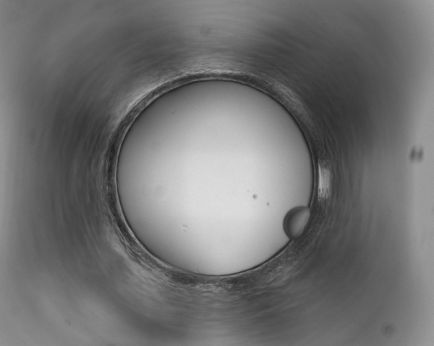 X0000113200627200909100923