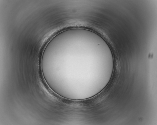 X0000113200629200909100923