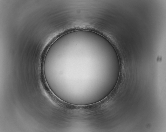 X0000113200630200909100923