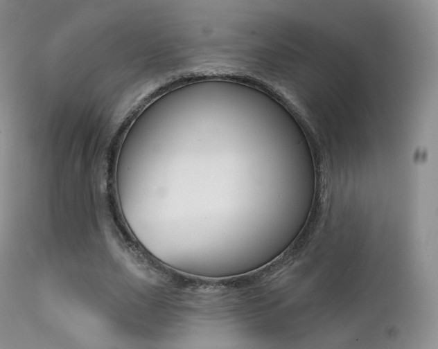 X0000113200631200909100923
