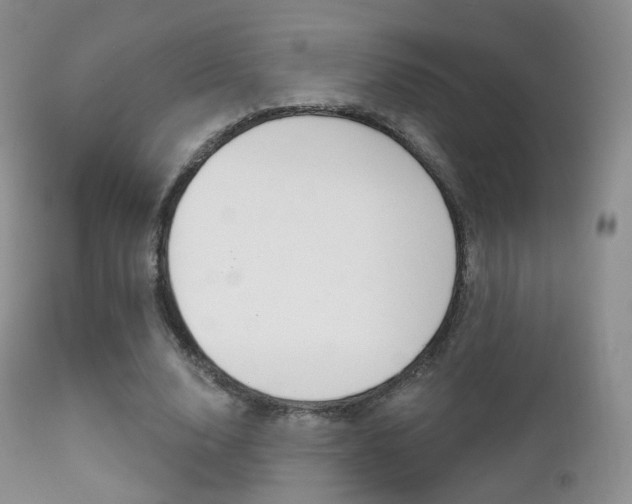 X0000113200632200909100923