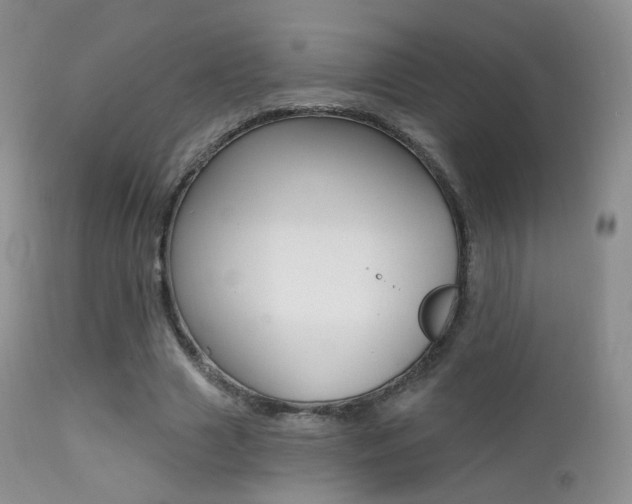 X0000113200633200909100923