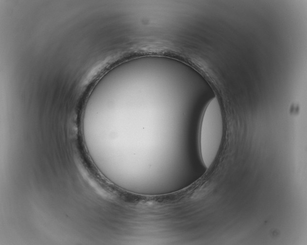 X0000113200634200909100923