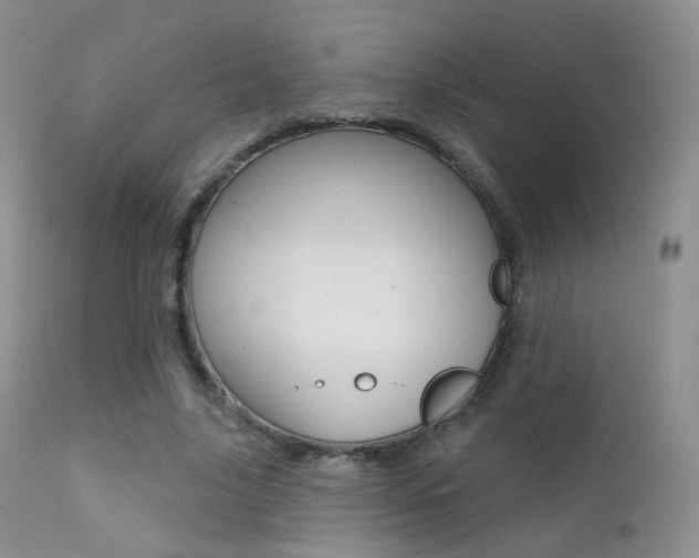 X0000113200635200909100923