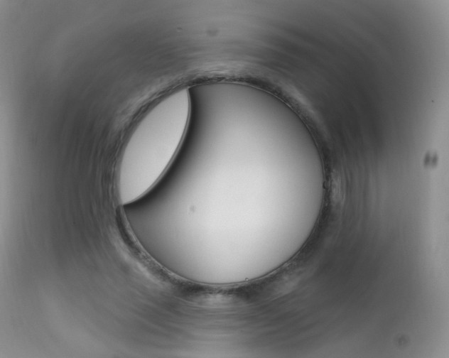 X0000113200637200909100923