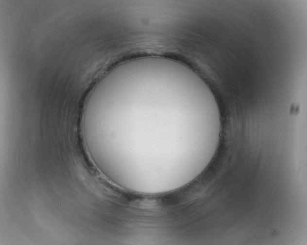 X0000113200639200909100923