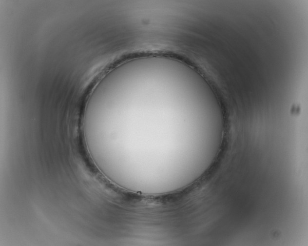 X0000113200640200909100923