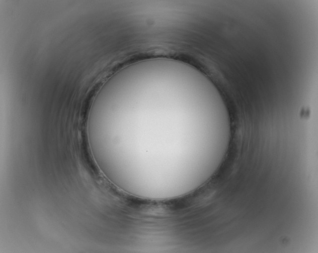 X0000113200643200909100923