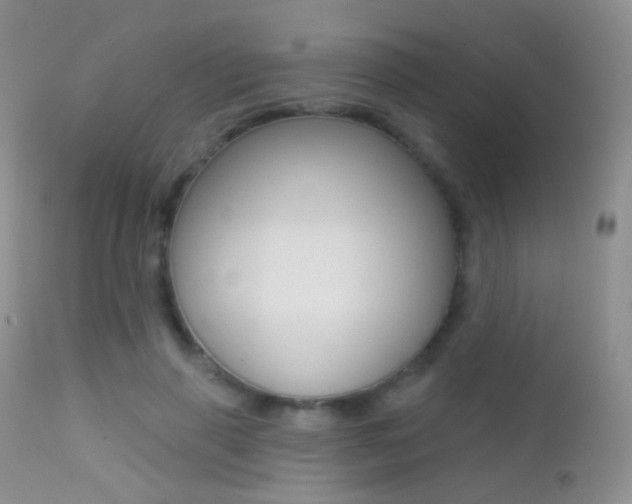 X0000113200645200909100923