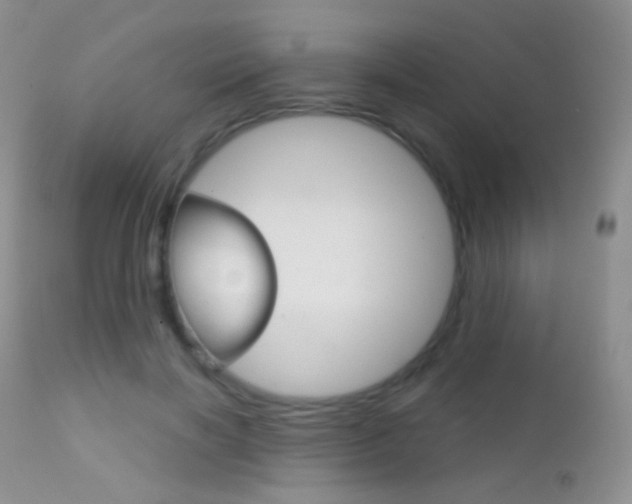 X0000113200646200909100923