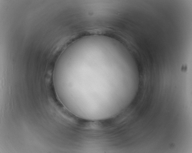 X0000113200652200909100923