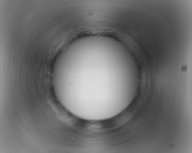 X0000113200653200909100923