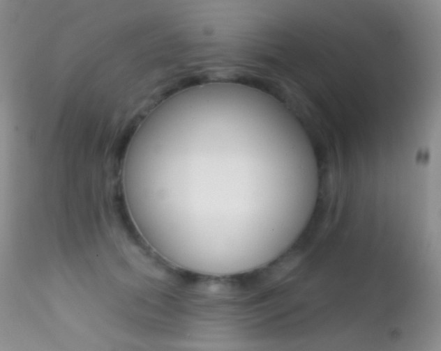 X0000113200655200909100923