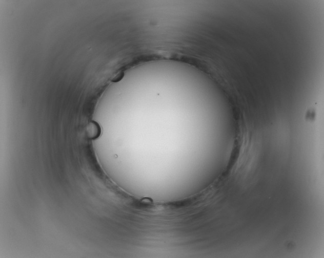 X0000113200656200909100923