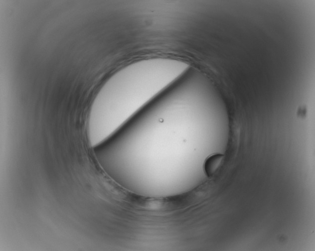 X0000113200657200909100923