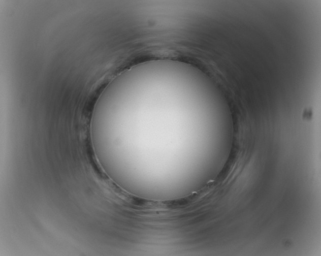X0000113200658200909100923