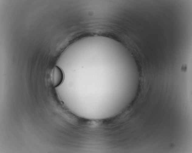 X0000113200660200909100923