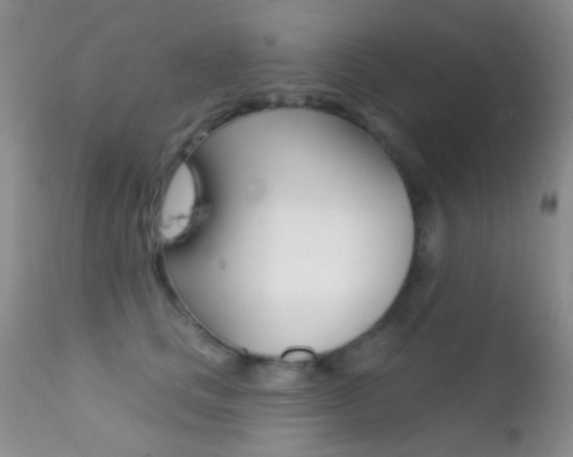 X0000113200661200909100923
