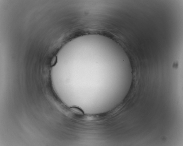 X0000113200662200909100923