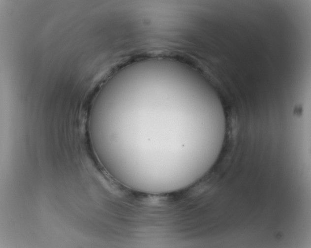 X0000113200664200909100923