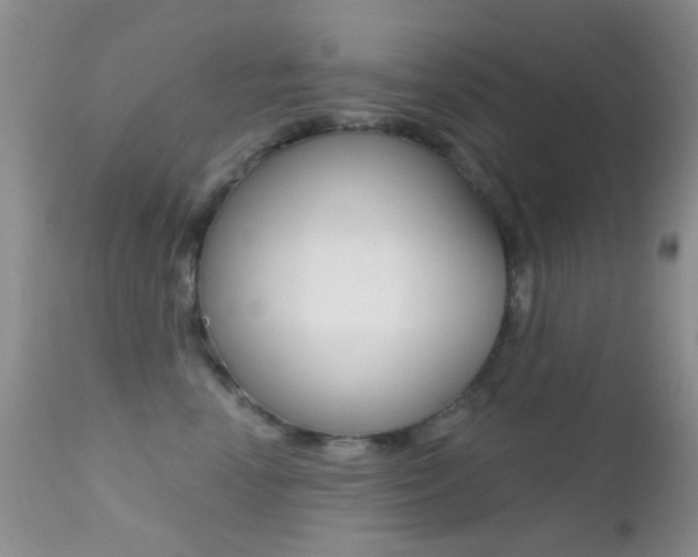 X0000113200666200909100923