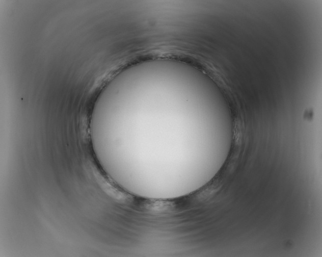 X0000113200670200909100923