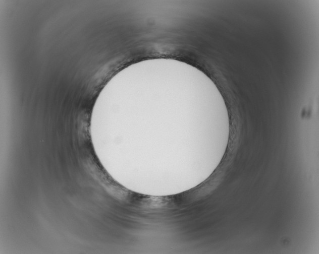 X0000113200672200909100923