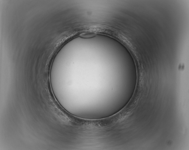 X0000113200673200909100923